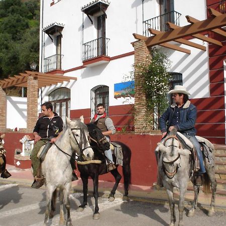 Apartamentos Rurales Mirador De Jubrique Eksteriør billede
